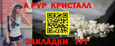 шишки Изобильный