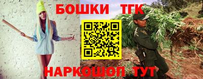 шишки Изобильный