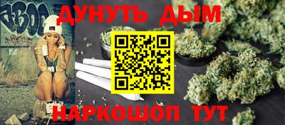 шишки Изобильный
