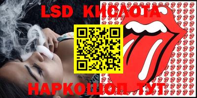 шишки Изобильный
