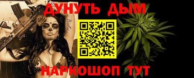 шишки Изобильный