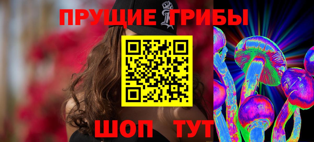 магазин    Псилоцибиновые грибы Psilocybe  Вход с VPN  Нижнеудинск 
