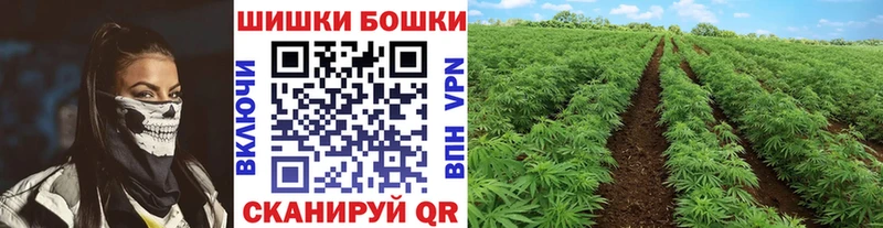 Шишки марихуана конопля  Нижнеудинск 